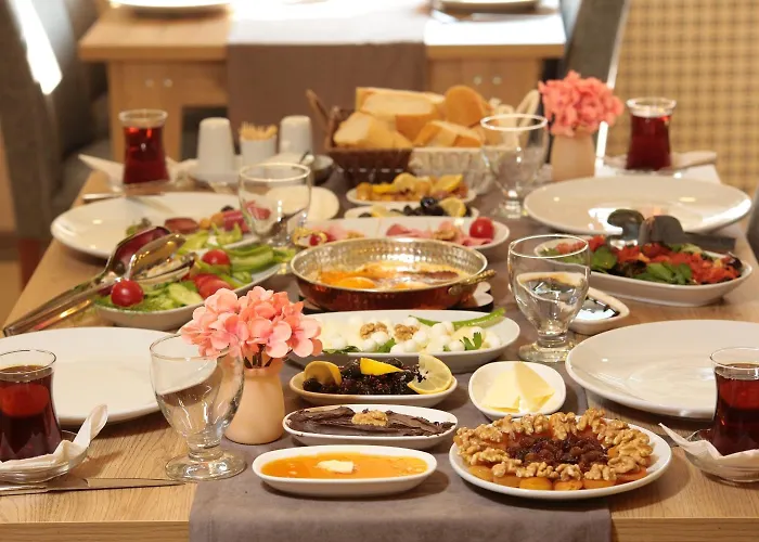 Apart Otel Hatton Esenboga Ankara